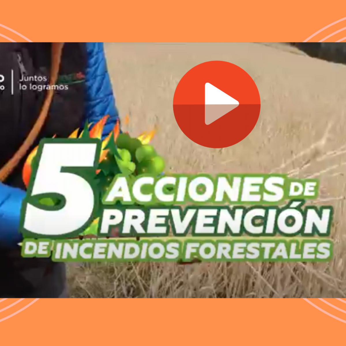 Imagen video conozca 5 tips para la prevención de incendios forestales