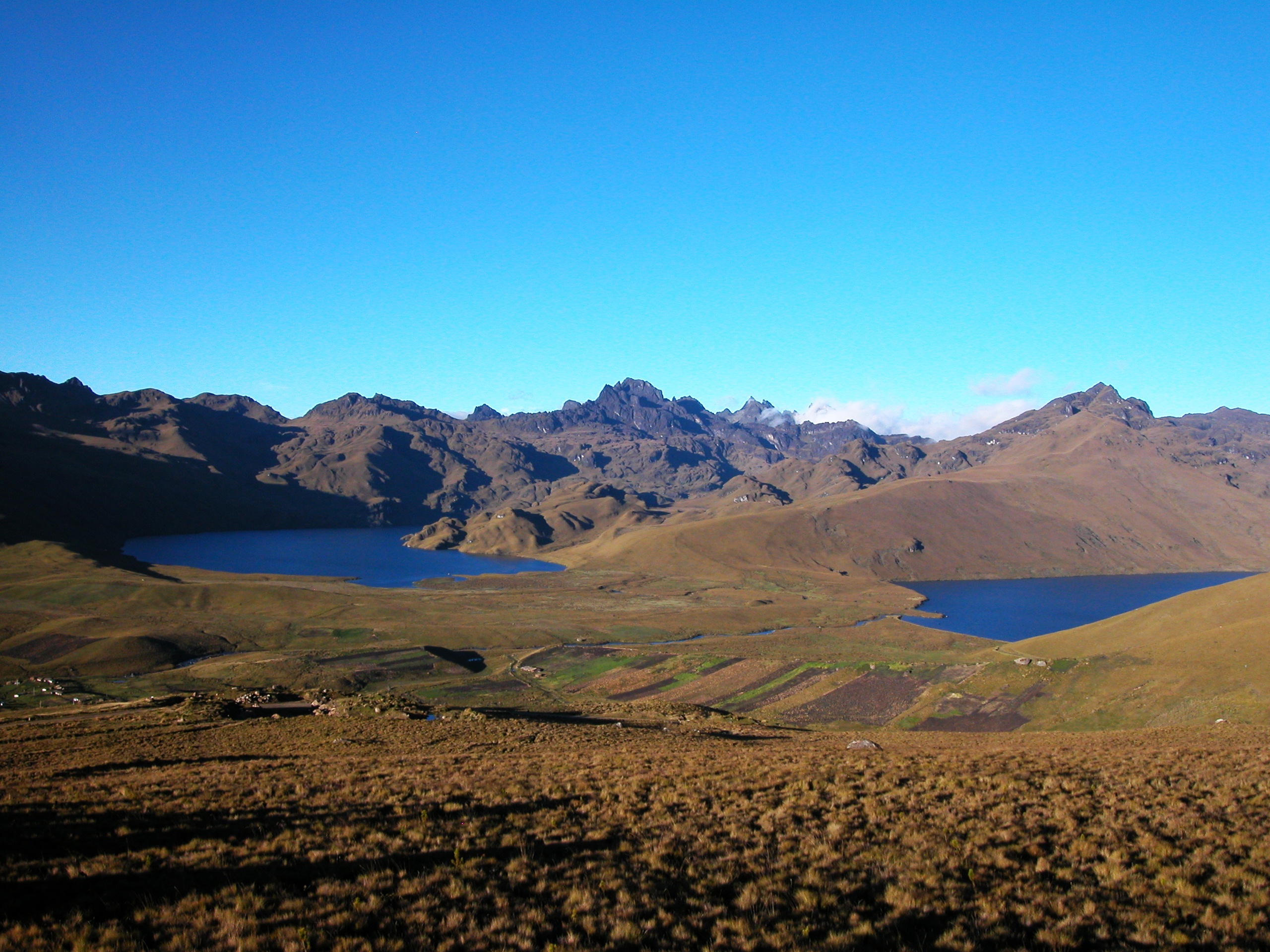 Humedales