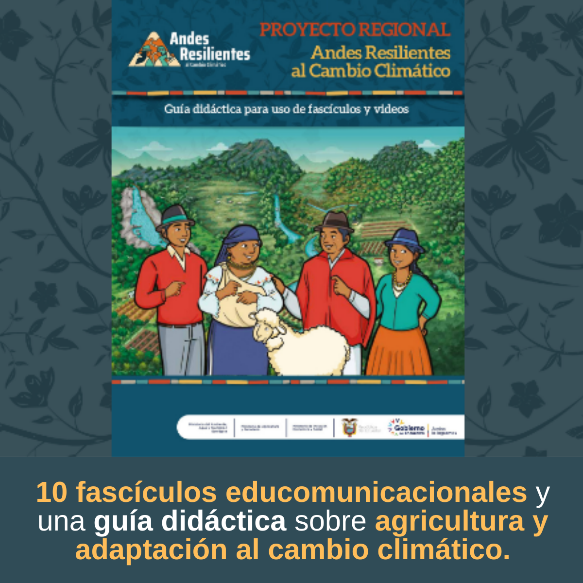 Proyecto Regional Andes Resilientes al Cambio Climático