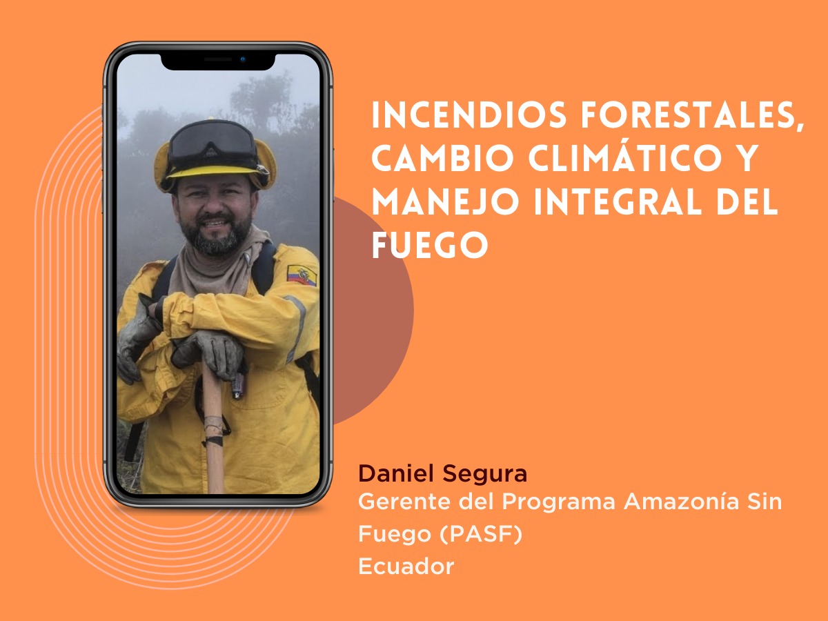 Imagen artículo de opinión sobre incendios forestales