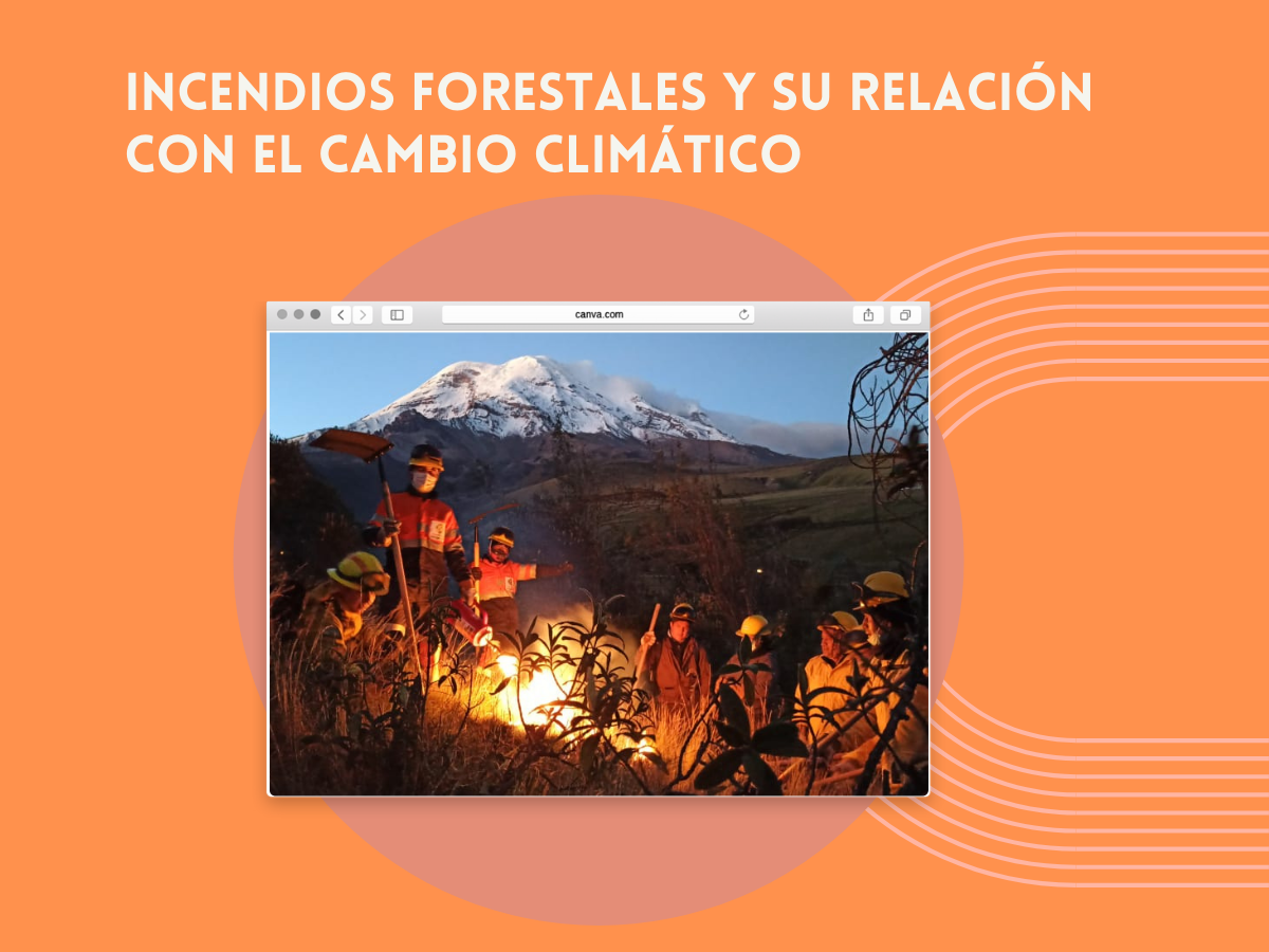 Imagen de nota sobre incendios forestales