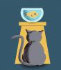imagen de gato