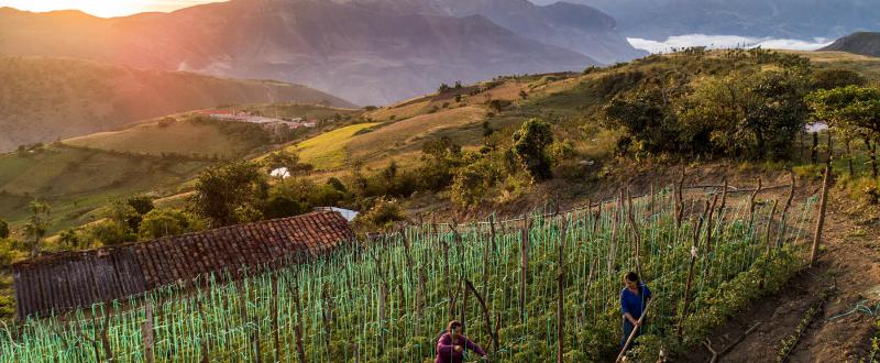 vínculos entre cambio climático y género
